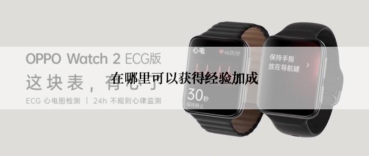 在哪里可以获得经验加成