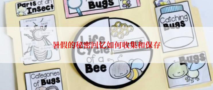 暑假的秘密回忆如何收集和保存