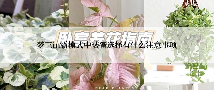 梦三in霸模式中装备选择有什么注意事项