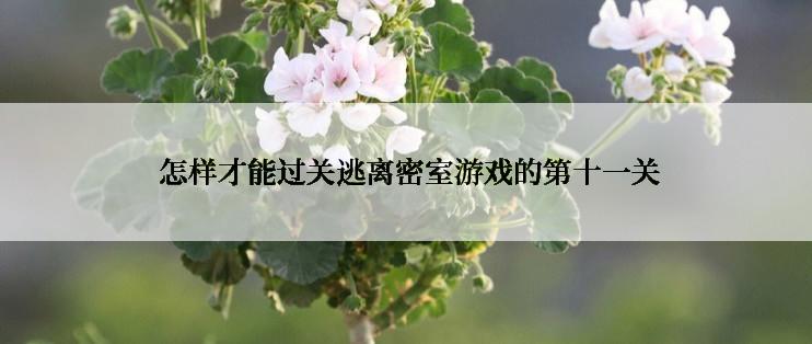  怎样才能过关逃离密室游戏的第十一关