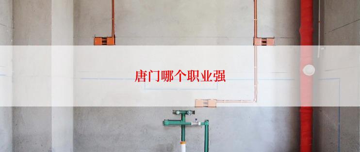 唐门哪个职业强