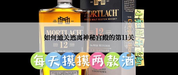 如何通关逃离神秘宫殿的第11关