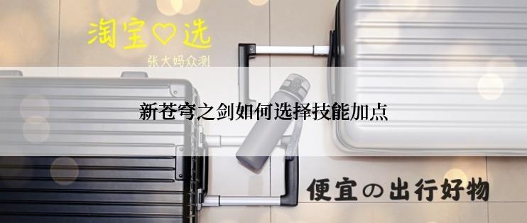 新苍穹之剑如何选择技能加点