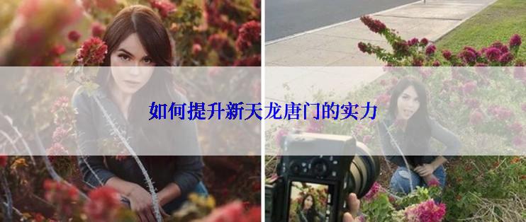 如何提升新天龙唐门的实力