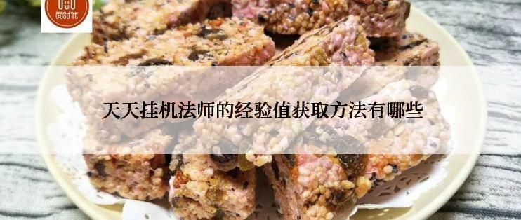 天天挂机法师的经验值获取方法有哪些