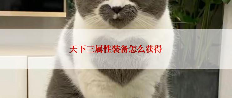 天下三属性装备怎么获得