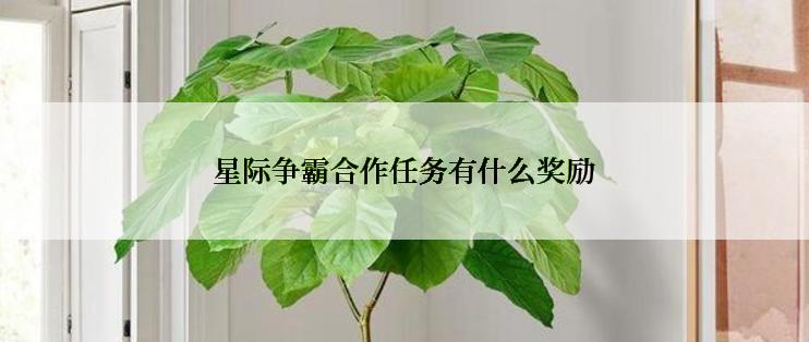 星际争霸合作任务有什么奖励