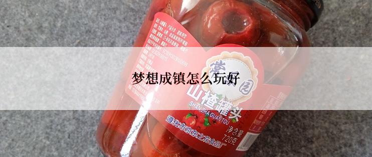 梦想成镇怎么玩好