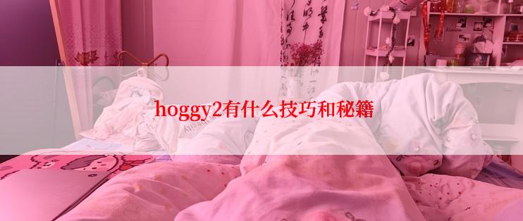  hoggy2有什么技巧和秘籍