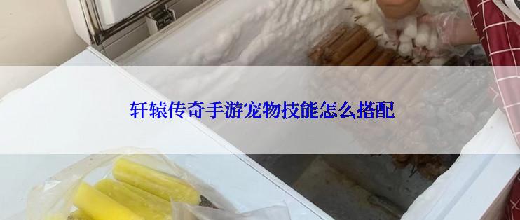  轩辕传奇手游宠物技能怎么搭配