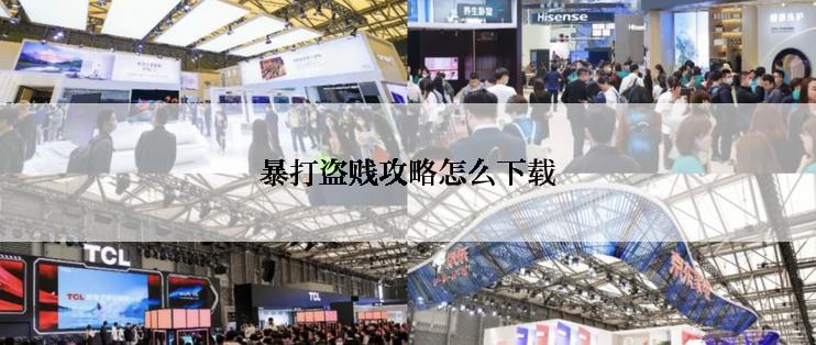 暴打盗贱攻略怎么下载