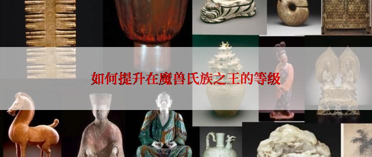 如何提升在魔兽氏族之王的等级