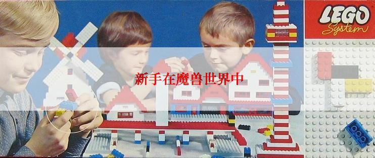  新手在魔兽世界中