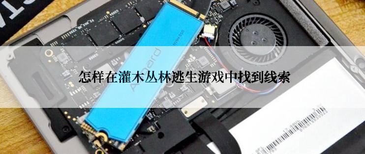  怎样在灌木丛林逃生游戏中找到线索