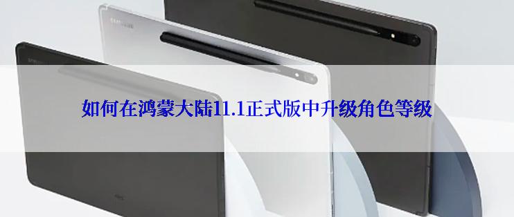 如何在鸿蒙大陆11.1正式版中升级角色等级