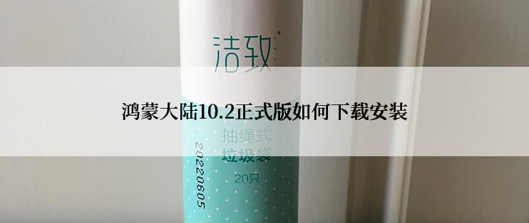 鸿蒙大陆10.2正式版如何下载安装