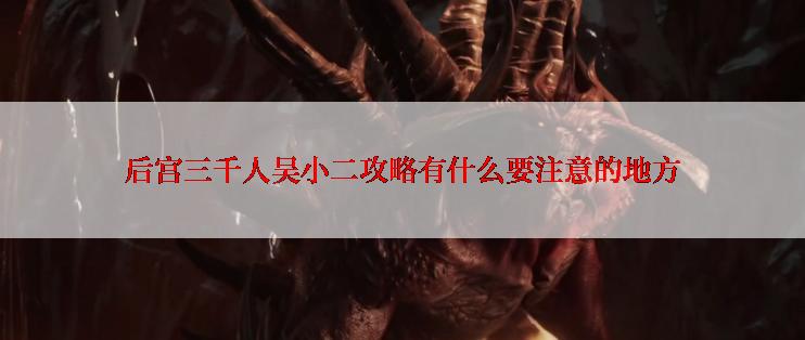 后宫三千人吴小二攻略有什么要注意的地方