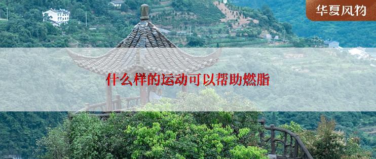 什么样的运动可以帮助燃脂