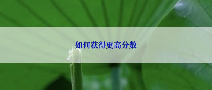 如何获得更高分数