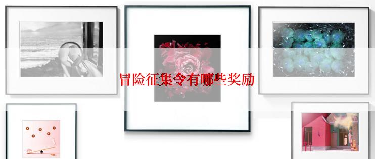 冒险征集令有哪些奖励