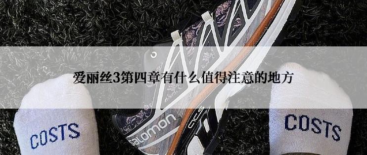 爱丽丝3第四章有什么值得注意的地方