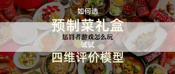 惩罚者游戏怎么玩