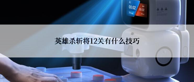 英雄杀斩将12关有什么技巧