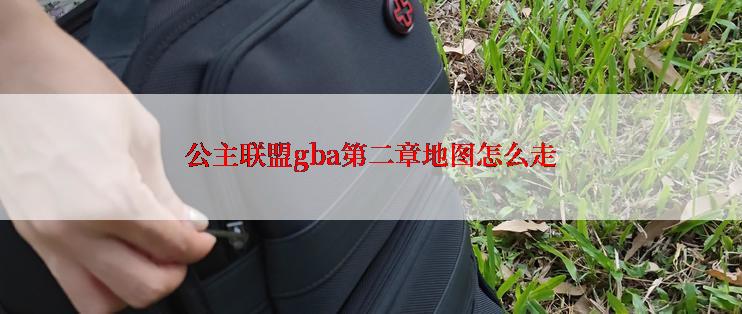 公主联盟gba第二章地图怎么走