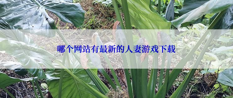 哪个网站有最新的人妻游戏下载