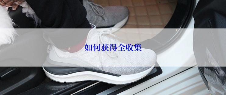 如何获得全收集