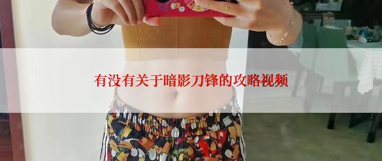 有没有关于暗影刀锋的攻略视频