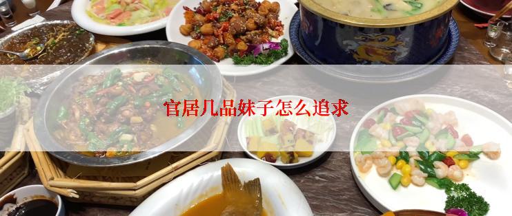官居几品妹子怎么追求