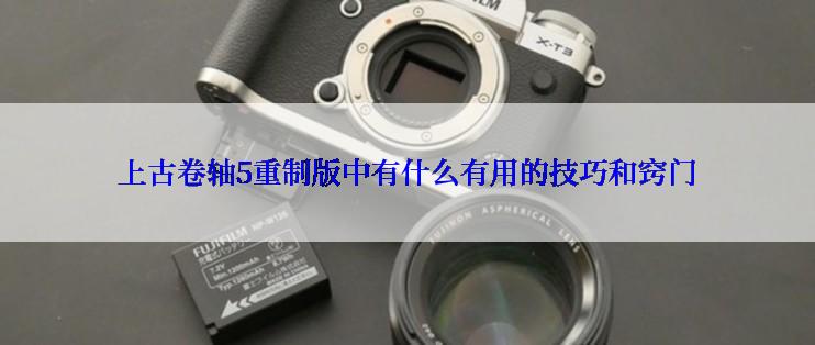 上古卷轴5重制版中有什么有用的技巧和窍门