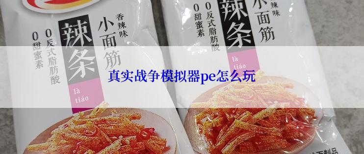 真实战争模拟器pe怎么玩