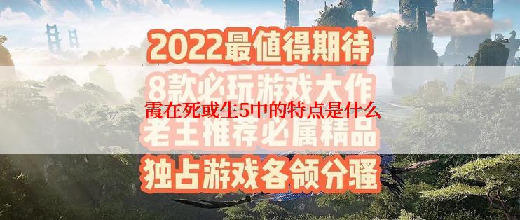  霞在死或生5中的特点是什么