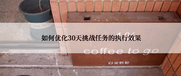  如何优化30天挑战任务的执行效果