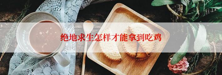 绝地求生怎样才能拿到吃鸡