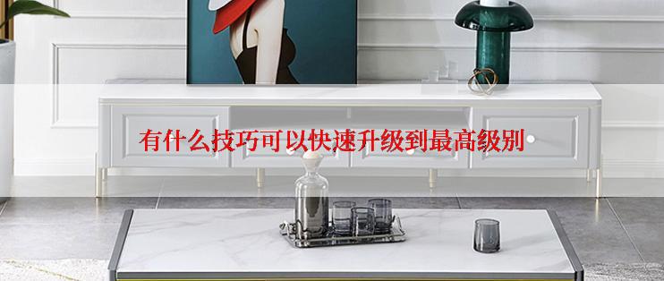 有什么技巧可以快速升级到最高级别