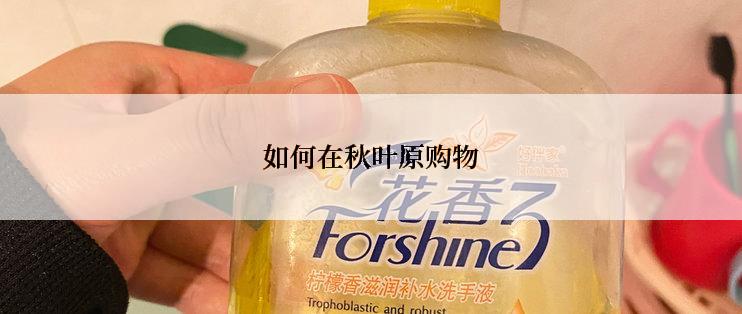 如何在秋叶原购物