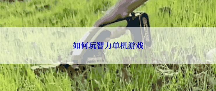 如何玩智力单机游戏