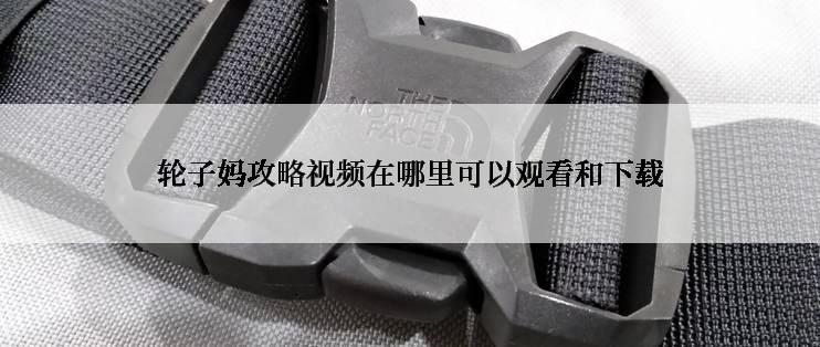 轮子妈攻略视频在哪里可以观看和下载