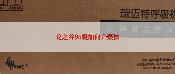 龙之谷95级如何升级快