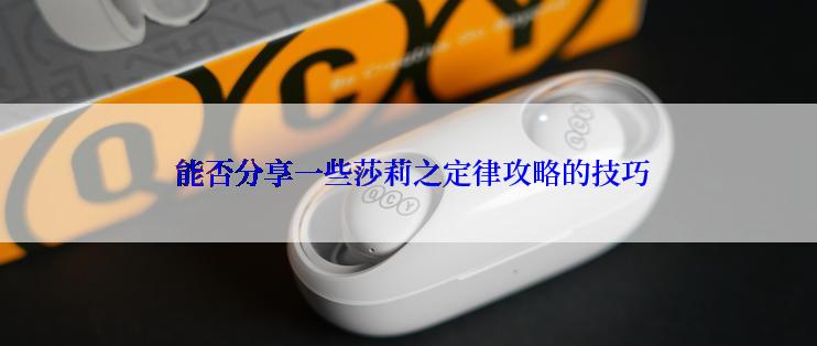  能否分享一些莎莉之定律攻略的技巧