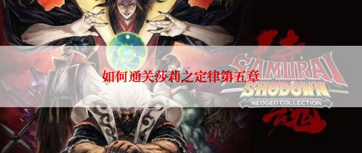 如何通关莎莉之定律第五章