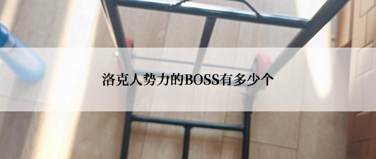 洛克人势力的BOSS有多少个