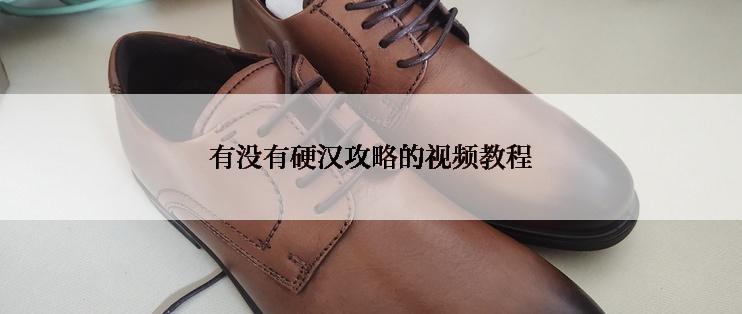 有没有硬汉攻略的视频教程