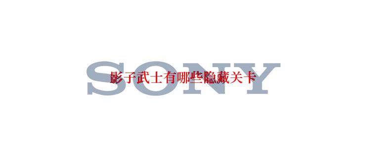 影子武士有哪些隐藏关卡