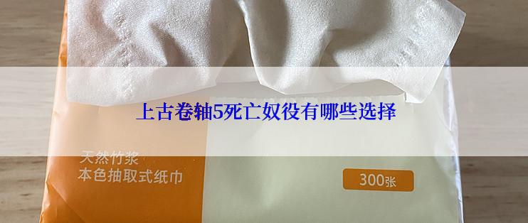  上古卷轴5死亡奴役有哪些选择