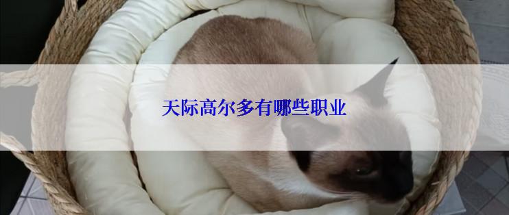 天际高尔多有哪些职业