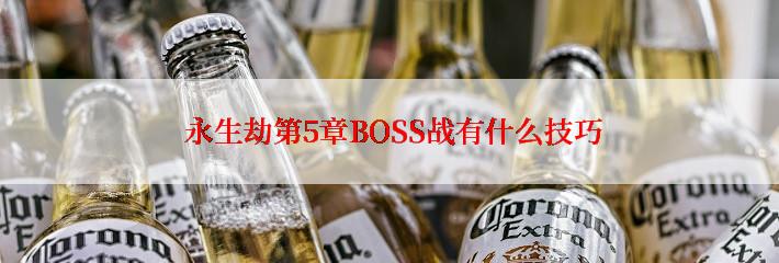  永生劫第5章BOSS战有什么技巧